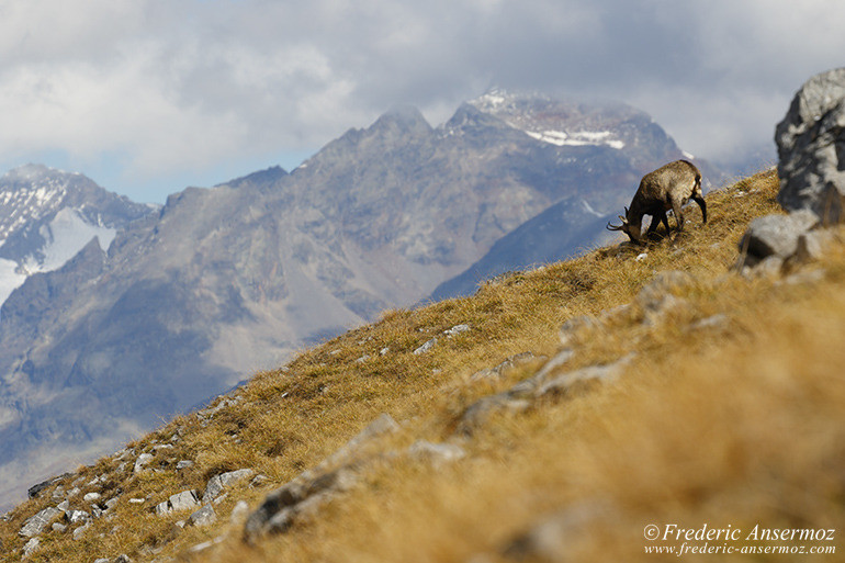 site de rencontre sérieux et gratuit en suisse