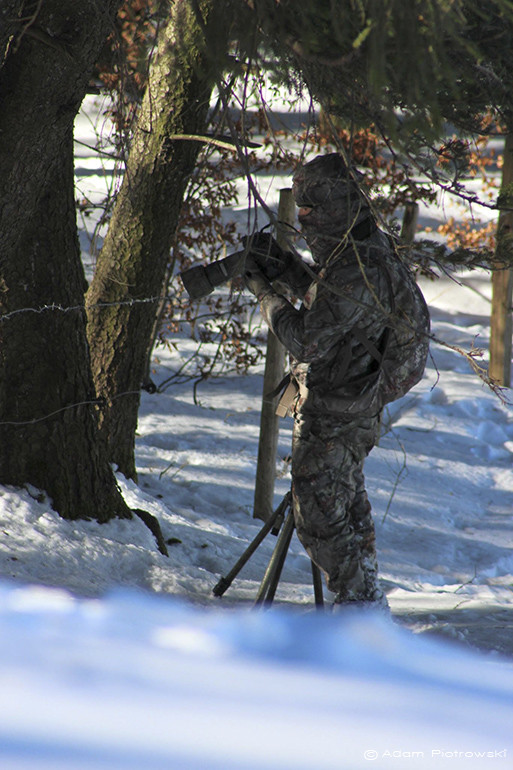 Camouflage For Wildlife Photography | Ansermoz-Photography